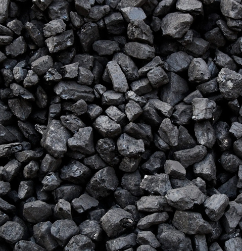 Coal